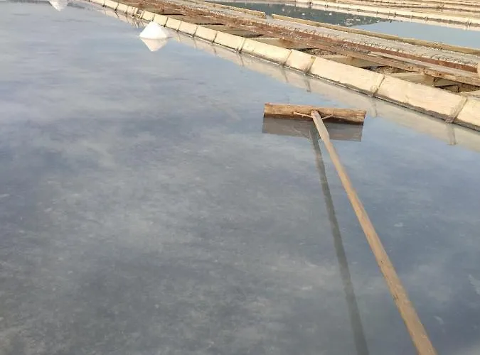 Apartma Na Vasi דירה Sečovlje