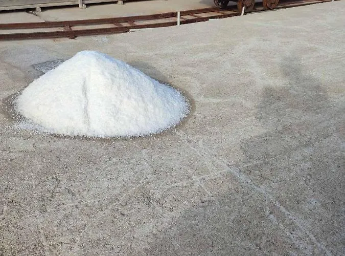 Apartma Na Vasi דירה